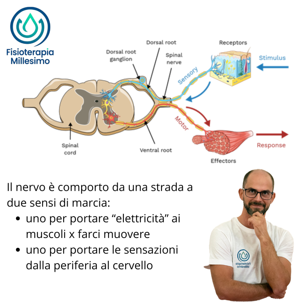 sciatica fisioterapia