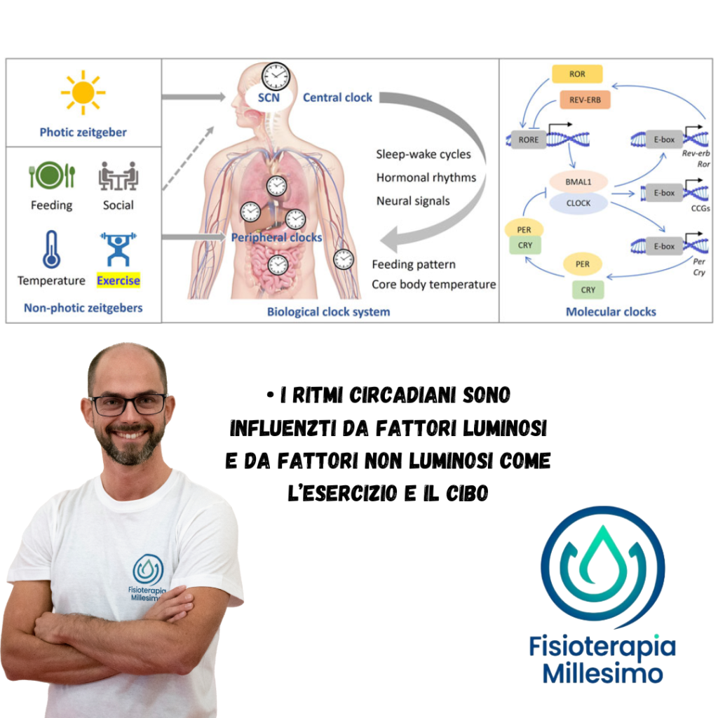 insonnia, ritmi circadiani, allenamento HIIT HRV